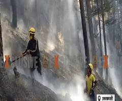 उत्तरकाशी में जंगलों में लगी आग,SDRF के जवानों ने बुझाई आग | ABP GNAGA