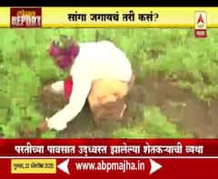 Farmers In Trouble | स्पेशल रिपोर्ट | परतीच्या पावसात उद्ध्वस्त झालेल्या शेतकऱ्याची व्यथा
