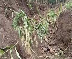 Maharashtra Rain | लातूरच्या औसा, रेणापूर, उदगीर, निलंग्यात ढगफुटीसदृश पाऊस