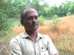 વલસાડમાં ભારે વરસાદથી ડાંગરનો પાક જમીનદોસ્ત થતાં ખેડૂતોની વધી મુશ્કેલી 