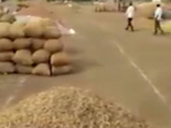 રાજકોટના બેડી માર્કેટિંગ યાર્ડમાં મગફળીની આવક બંધ કરાઇ, જુઓ વીડિયો 