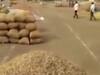 રાજકોટના બેડી માર્કેટિંગ યાર્ડમાં મગફળીની આવક બંધ કરાઇ, જુઓ વીડિયો 