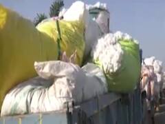  અમરેલીઃ માર્કેટ યાર્ડમાં કપાસની આવક, સારા કપાસના મળી રહ્યા છે 1110 રૂપિયા