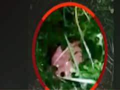 Aurangabad: 2 IEDS defused by CRPF near polling booth