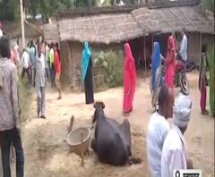  Pratapgarh : छात्र के साथ हत्या के बाद दरिंदगी | ABP GANGA 