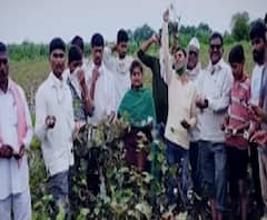 'मुख्यमंत्री जागे व्हा', स्वाभिमानी युवती संघटनेकडून बीडमध्ये शेताच्या बांधावर आंदोलन 