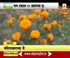 शेतीतील नवदुर्गा | नशिराबादच्या वैशाली नाले यांची प्रेरणादायी कहाणी; पतीच्या आत्महत्येनंतर फुलवली शेती 