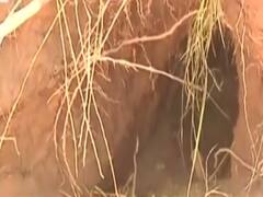 LoC पर Pakistan Rangers की निगरानी में जैश और हिजबुल के आतंकी खोद रहे सुरंग