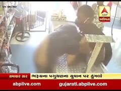 દક્ષિણ આફ્રિકામાં વધુ એક ગુજરાતી પર હુમલો, જુઓ વીડિયો 