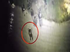 J&K: पुलवामा में एनकाउंटर के दौरान आतंकी ने किया LIVE सरेंडर