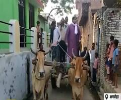 Amroha: चुनाव जो ना कराए, बैलगाड़ी पर प्रचार करने निकल पड़े कांग्रेस प्रत्याशी| Ganga Prime