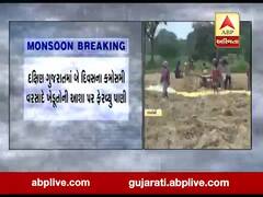 કમોસમી વરસાદના કારણે બારડોલી તાલુકામાં ડાંગરના પાકને ભારે નુકસાન, જુઓ વીડિયો