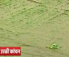 पुण्यातील हवेली तालुक्यातील शिंदवणे घाटात ढगफुटी, घरांची पडझड, सरकारच्या मदतीकडे शेतकऱ्यांचे डोळे