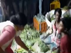 Surkhi Seat से Congress उम्मीदवार का अनोखे अंदाज़ में चुनाव प्रचार 