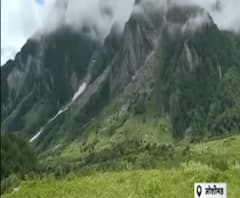 फूलों की घाटी में आ रहे हैं पर्यटक,फूलों की घाटी में खिलते हैं 500 प्रजाति के फूल