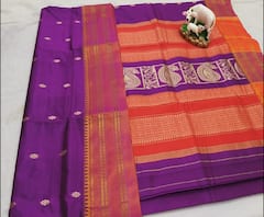 Web Exclusive | साडीचा साज | आंध्र प्रदेशची नारायणपेठ, महाराष्ट्राची ओळख कशी झाली?