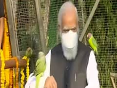 Captured on Camera: PM Modi shares a moment with parrots | Matrabhumi (30.10.2020)