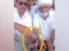 Drug distributed in Rajasthan village ahead of Panchayat polls, video goes viral