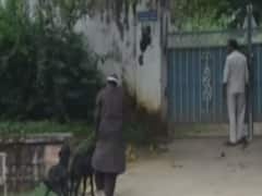 Bihar Elections 2020: Now goats make an entry