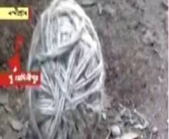 নন্দীগ্রামে তৃণমূল প্রধানের গ্যারেজ থেকে উদ্ধার তাজা বোমা! 'নাশকতার জন্য রেখেছিল বিজেপি', দাবি শাসকদলের