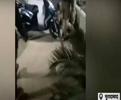 Moradabad: जब दो होमगार्ड आपस में भिड़े, महिला सिपाही को करना पड़ा बीच-बचाव | Poorab Paschim | ABP