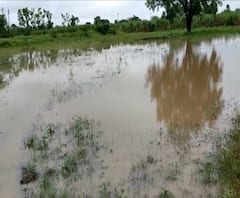 #MahaFloods मुख्यमंत्र्यांकडून राज्यातील अतिवृष्टीचा आढावा, काही भागात NDRF तैनात