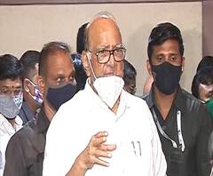 Sharad Pawar | राज्यपालांची भेट घेतल्यानंतर राज ठाकरे यांची शरद पवारांशी चर्चा, फोनवरुन साधला संवाद