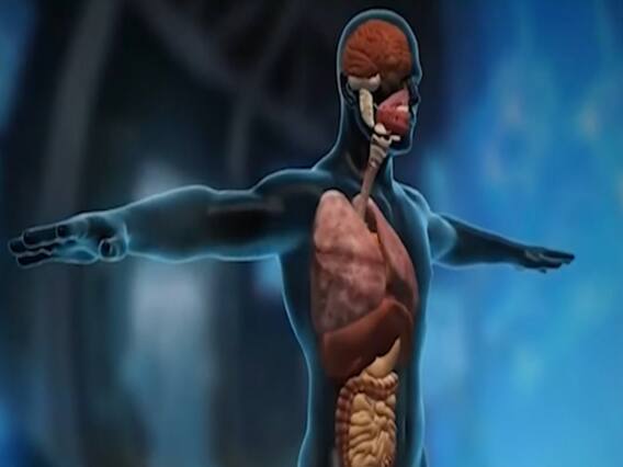 Discovery of a 'new' human body organ | Master Stroke 