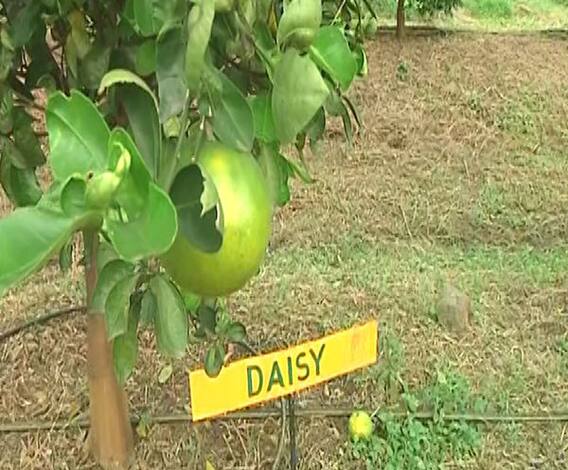 TOP 50 | सकाळच्या 50 महत्त्वाच्या बातम्यांचा वेगवान आढावा | सुपरफास्ट बातम्या | 08 ऑक्टोबर 2020