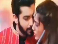 Naagin 5: Bani's duplicate to attack Veer