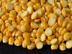 Why are the prices of pulses skyrocketing? | Master Stroke