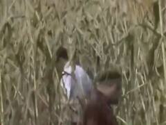 Hathras Case: CBI investigates the crime scene, family members also present