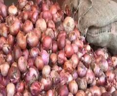 Onion Rate | नवी मुंबई एपीएमसी मार्केट आणि सोलापूर बाजार समितीत कांदा स्वस्त, ग्राहकाला दिलासा