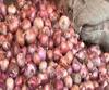 Onion Rate | नवी मुंबई एपीएमसी मार्केट आणि सोलापूर बाजार समितीत कांदा स्वस्त, ग्राहकाला दिलासा