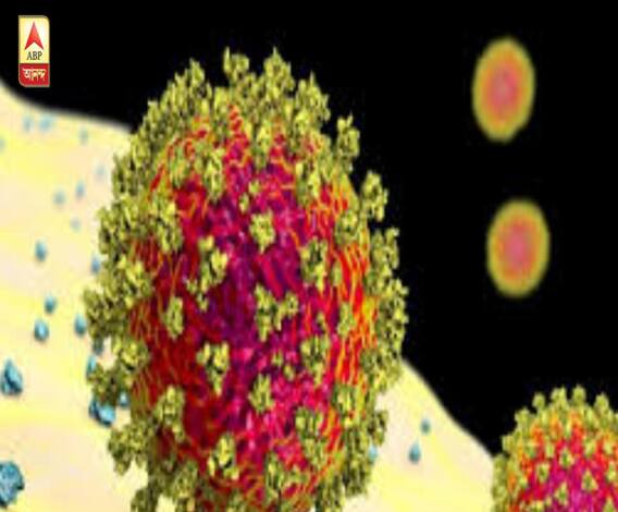 মানব-ত্বকে ৯ ঘণ্টা সক্রিয় থাকতে পারে করোনা ভাইরাস, অক্সফোর্ড রিপোর্টে প্রকাশের পর পুজোর ভিড় নিয়ে শঙ্কা