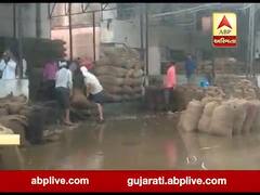 બનાસકાંઠા: ઈકબાલગઢ APMC માં વરસાદના કારણે વેપારી અને ખેડૂતો નો માલ પલડયો