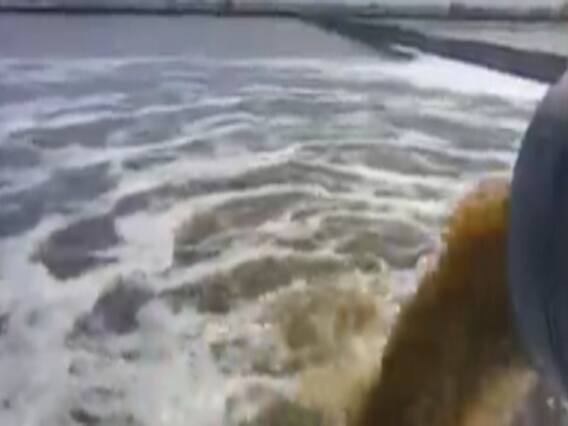 રાજકોટ: જેતપુરમાં ભાદર નદીમાં છોડાઈ રહ્યું છે કેમિકલયુક્ત પાણી, કેમિકલ માફિયાના કારણે નદી પ્રદૂષિત