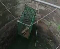 Nashik Fox Rescue | नाशिकमध्ये शेतातील विहिरीत पडलेल्या कोल्ह्याला वाचवण्यात यश