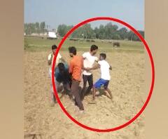 युवक की पिटाई का वीडियो वायरल,कई मिलकर कर रहे युवक की पिटाई