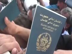 Afghanistan: Many killed & injured in stampede for getting Pak's visa 