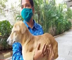 TOP 100 News | देशभरातील शंभर महत्वाच्या बातम्यांचे अपडेट्स एका क्लिकवर