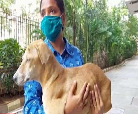 TOP 100 News | देशभरातील शंभर महत्वाच्या बातम्यांचे अपडेट्स एका क्लिकवर