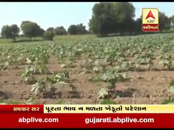 મહેસાણાઃ મોંઘવારી વચ્ચે ખેતી બની મોંઘી, પૂરતા ભાવ ન મળતા ખેડૂતો પરેશાન