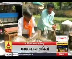 16 फीट लंबा और 91 किलो का अजगर, काशीपुर में हुआ रेस्क्यू। Uttarakhand Prime