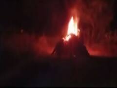 Hathras की घटना के खिलाफ मुरादाबाद के सफाईकर्मी हड़ताल पर; SIT ने भी शुरू की जांच