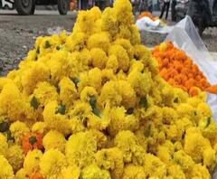 शेती जगत | शेती क्षेत्रातील घडामोडींचा वेगवान आढावा | 26 ऑक्टोबर 2020