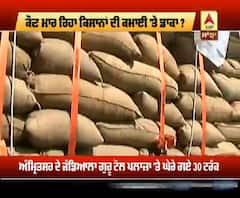 ਕਿਉਂ ਪੰਜਾਬ 'ਮੁਨਾਫੇ ਵਾਲੀ ਮੰਡੀ'?