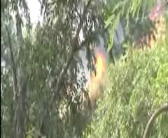 मनसा देवी मंदिर के जंगल में आग |ABP GANGA 