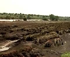 #Latur Farmer Loss | तेरणा किनाऱ्यावरील 35 ते 40 एकर जमीन उध्वस्त, शेतकऱ्यानं आता करावं तरी काय?