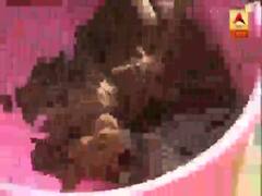 Atmanirbhar Bharat: राजस्थान में महिलाओं ने Diwali पर गोबर से बनाये 'eco-friendly' दीये